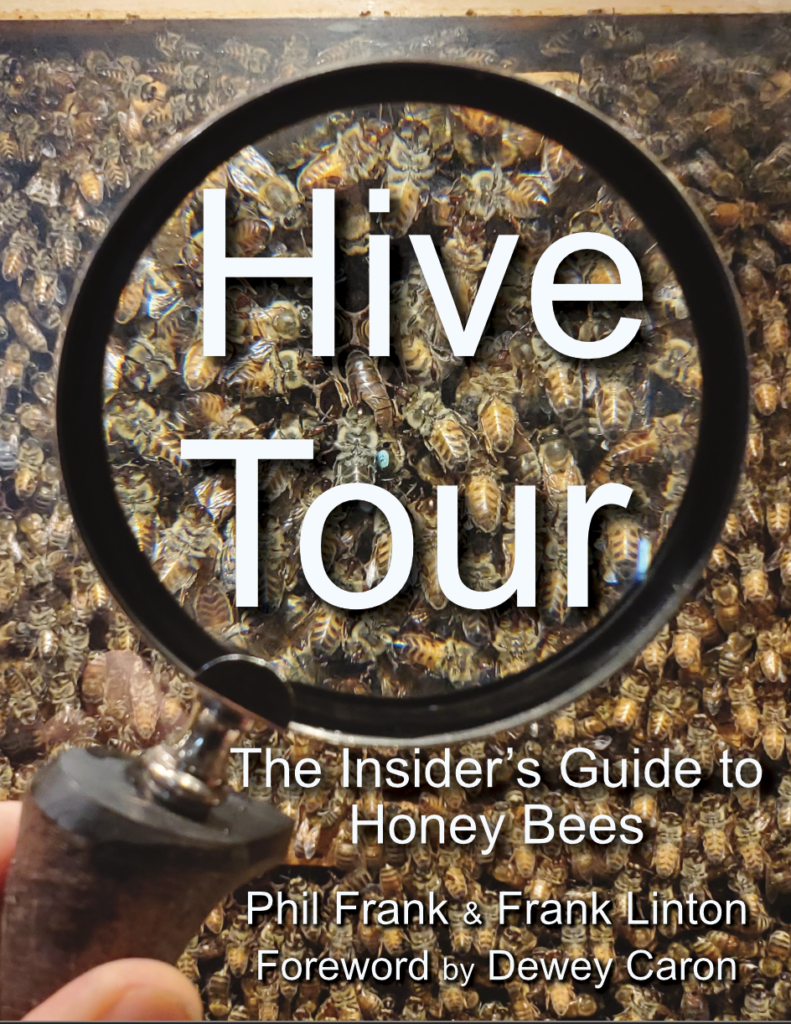hives on tour