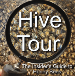 Cropped image of the front of the Hive Tour: The Insider's Guide to Honey Bees book