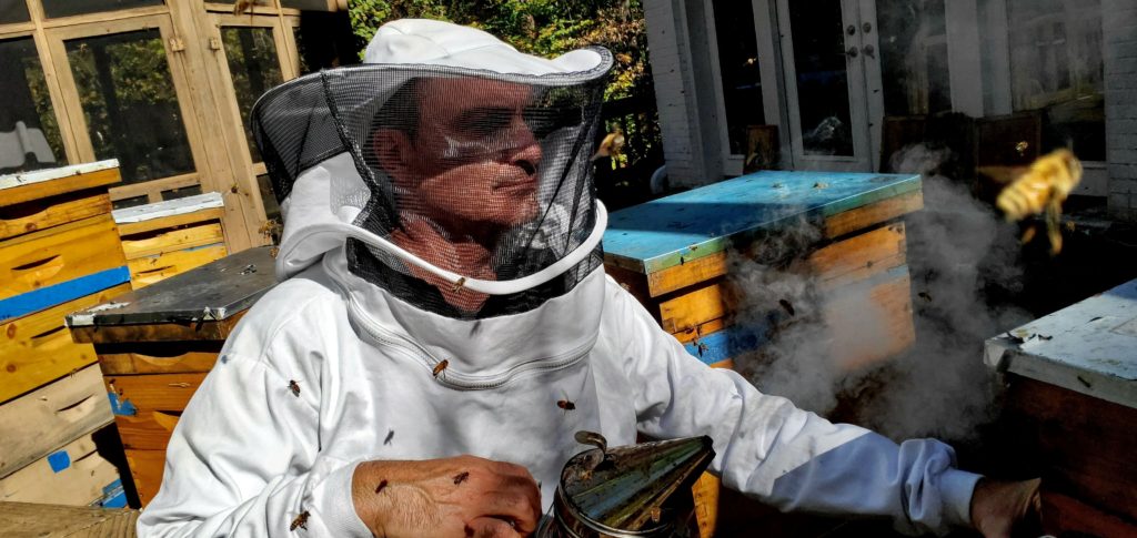 Phil Frank in a beekeeping suit surrounded by bees